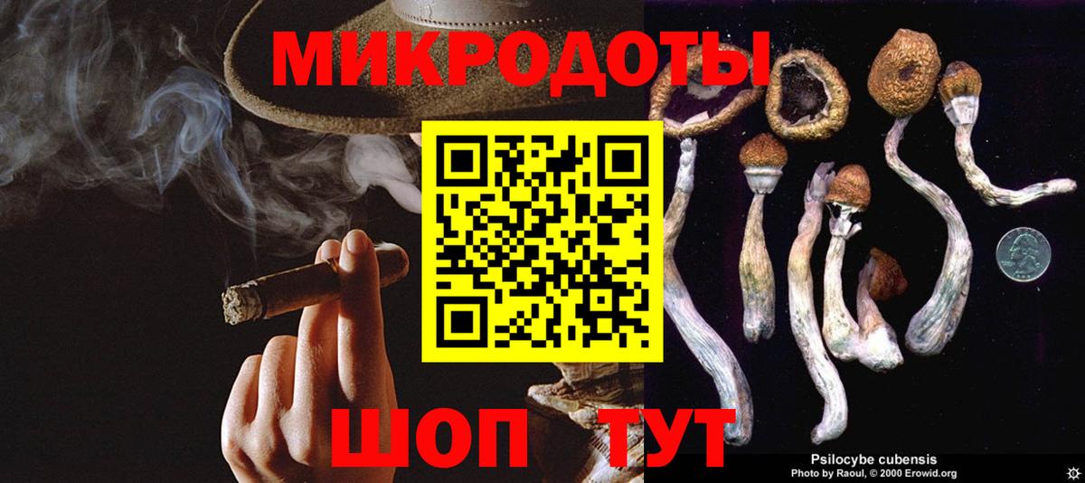 Гай  Галлюциногенные грибы мухоморы  Вход с VPN  Галлюциногенные грибы прущие грибы 