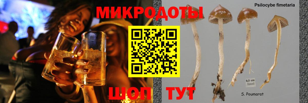 Галлюциногенные грибы ЛСД Гай